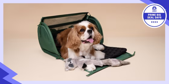 We curated the best deals on pet products for fall Prime Day 2023 from brands like Furbo, Earth Rated and Zesty Paws.