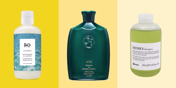 Experts recommend shampoos that focus on cleansing and moisturizing your hair with specific ingredients to target signs of dryness.