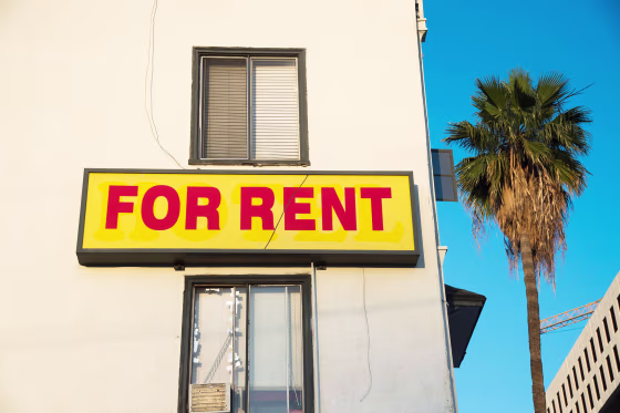 colorful for rent sign palm tree