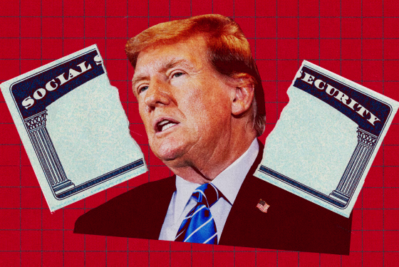 Photo Illustration: Donald Trump in between a ripped Social Security card