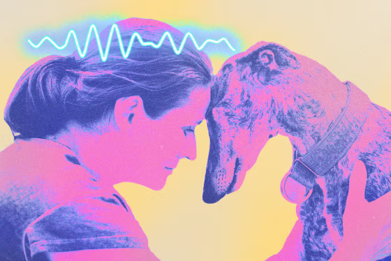 Photo Illustration: A woman experiencing alpha brainwaves while hugging her dog