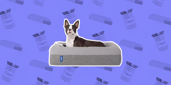 The Casper Dog Bed is available in small, medium and large sizes, and it comes with a removable, machine-washable cover.