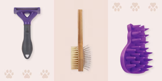 The length of the bristles should directly correlate to the length of your cat’s fur, according to our experts.