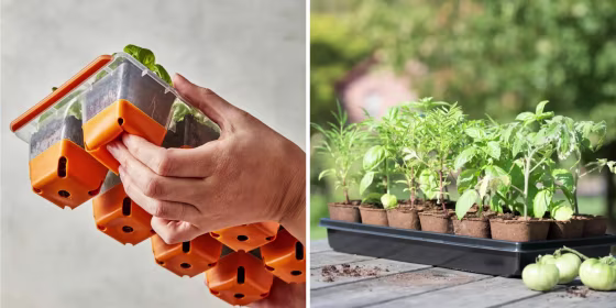 We consulted gardening experts for the best seed starting tray recommendations and advice to keep in mind while shopping for them.