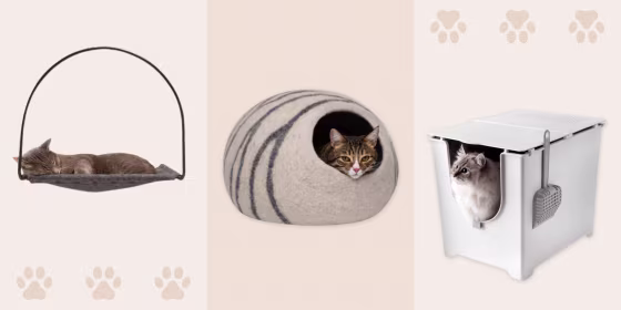 The essential products for a new kitten include litter, a litter box, scratching posts, treats and a cat carrier.