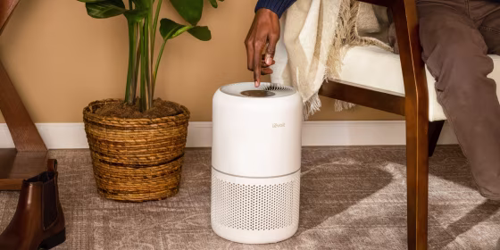 Air purifiers under $150 are a good fit for small spaces like bedrooms and offices.