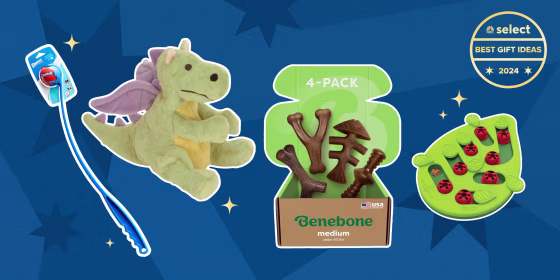  Some of the best gifts for pets include the Chuckit! ball launcher, GoDog squeaky stuffies, Benebone chew toys and Catstages treat puzzles.