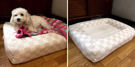 My dog, Bella, used Ruggable’s washable pet bed for a month and I found it sleek, easy to clean and durable.