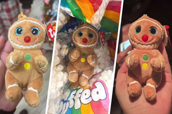cookie beanie baby by ty
