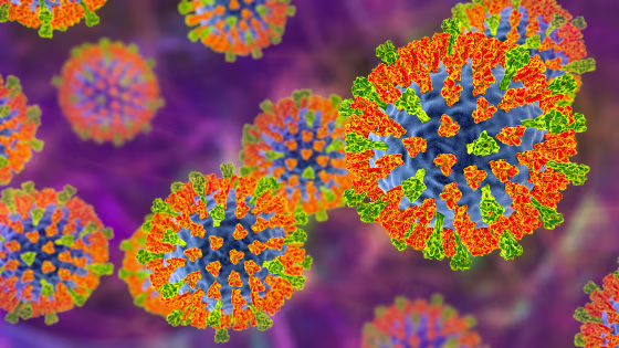 An illustration of the measles virus.
