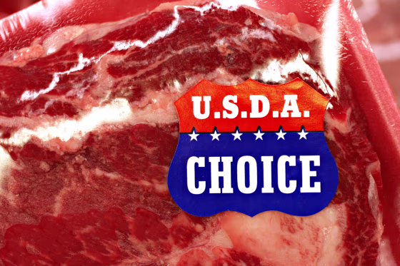 A USDA Choice sticker appears on a package of rib steak on d