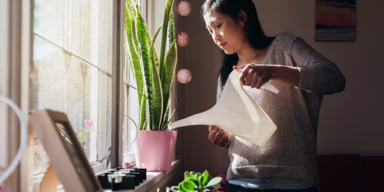 Buying plants online can be a convenient way to try new species, or finally find the bloom you’ve been looking for.