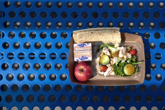 School lunch on an outdoor table in the sun.