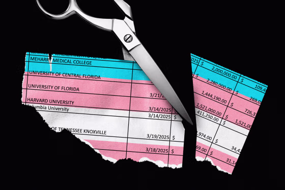 Photo illustration of scissors cutting a piece of paper with a list of terminated university grants; the paper is overlaid with the colors of the trans flag