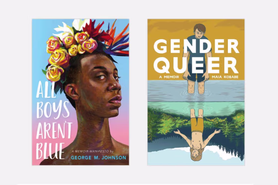 George M. Johnson's "All Boys Aren't Blue" and Maia Kobabe's "Gender Queer." 