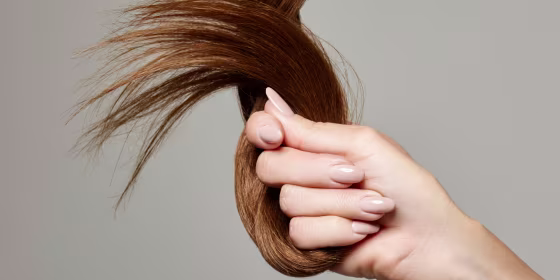 Key terms include hair type, hair texture, hair porosity and hair density. 