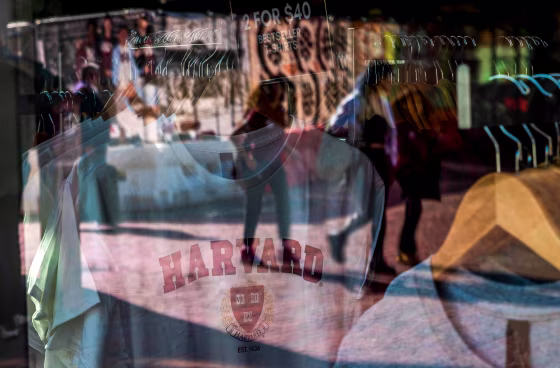 Harvard merchandise.