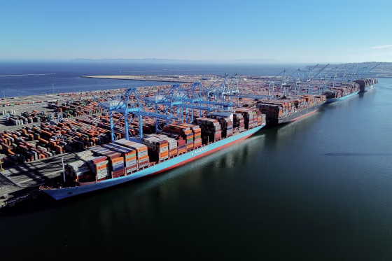 Container ships at the Port of Los Angeles