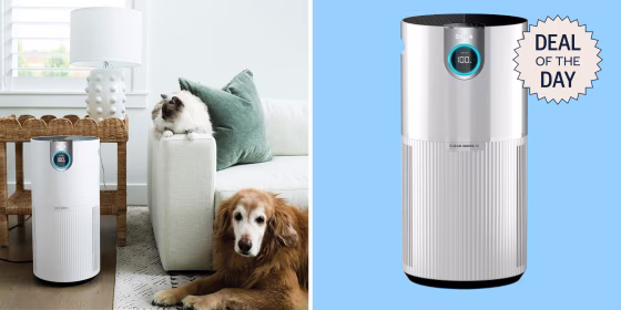  The Shark Air Purifier comes in white or black