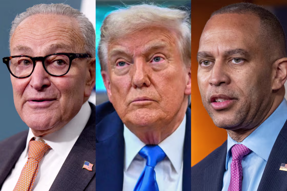 chuck schumer donald trump hakeen jeffries politics political politicians