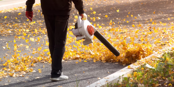 The most common types of leaf blowers are handheld battery-powered, corded electric and gas-powered units.