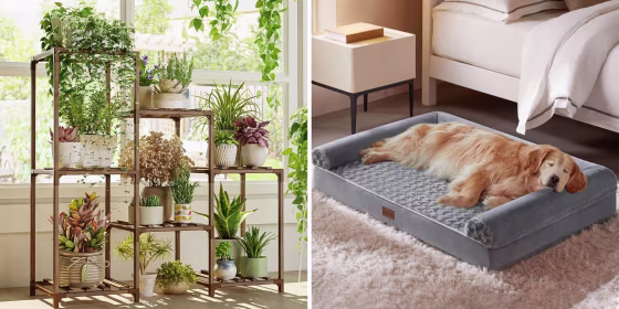 Savvy shoppers can find discounts on kitchen essentials, beauty accessories, home improvement tools and more.