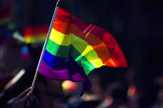 Gay Pride Rainbow Flag