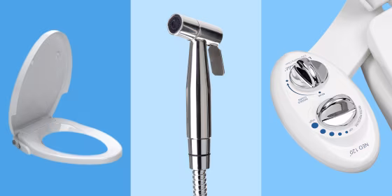 I curated the best handheld, seat and toilet bidets from brands like American Standard, Toto and Brondell.