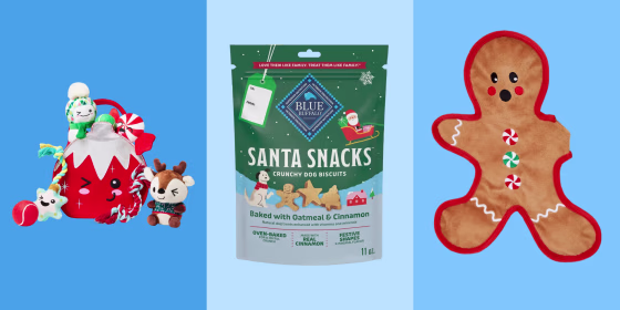 Chewy has some great deals going on right now for pet lovers.