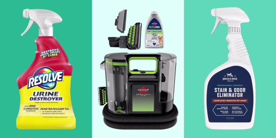 You can erase stubborn pet stains with several of these cleaning products and appliances.