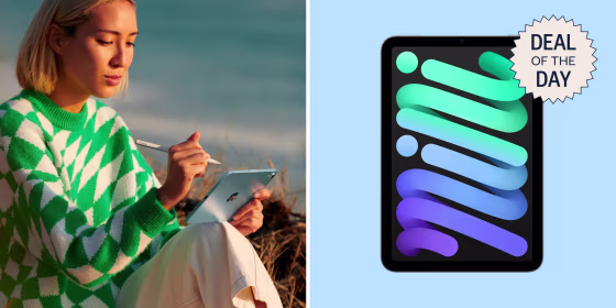 The iPad Mini, like the iPad Air, comes in four colors.