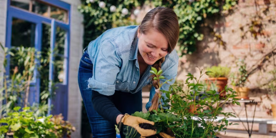 Using raised garden beds is often easier than in-ground gardening, especially for beginners, experts say.