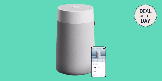 Blueair is known for high performing air purifiers that work quickly and are relatively quiet. 