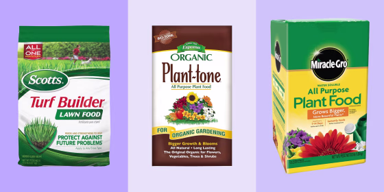 There are several types of fertilizers to use, depending on whether or not you’re using them for your lawn, vegetable garden or flower beds.