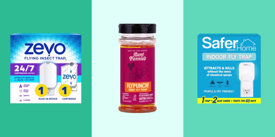 You can use natural ingredients like apple cider vinegar or plug-in fly traps to rid your home of flies, mosquitoes and other pests.