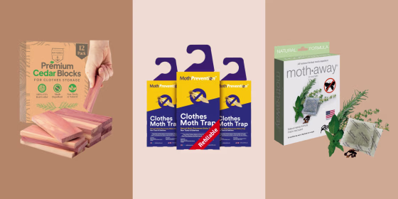It’s easy to get rid of moths with at-home treatments and products, according to experts.