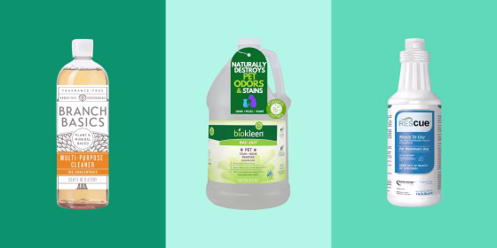 Pet-safe floor cleaners should be free of toxic chemicals and harsh smells.