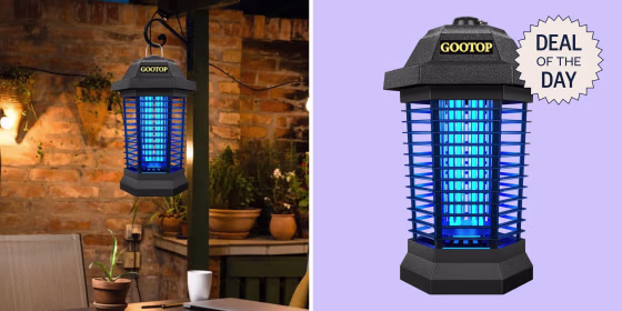 The bug zapper has a blue light to attract insects before zapping them.