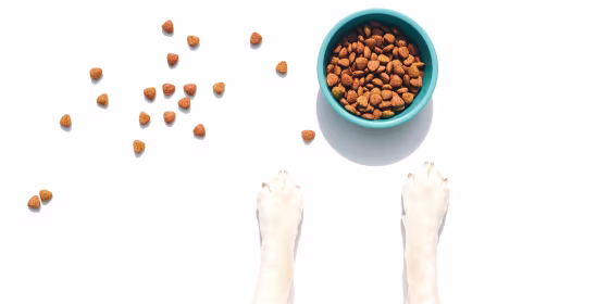 All puppy food should meet nutritional standards set by the Association of American Feed Control Officials (AAFCO).