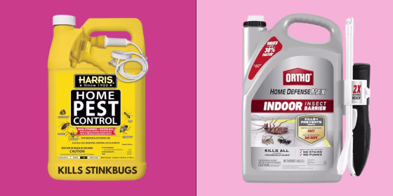Some common ingredients in home bug sprays could cause dogs and cats to become ill.