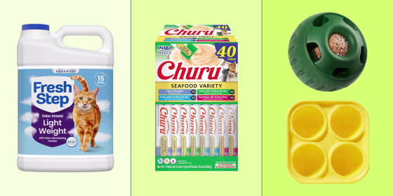 Shop the best pet deals on dog toys, cat litter, harnesses and more on Amazon.