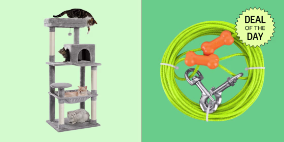 Find deals on must-haves for dogs, cats, birds, fish and other pets at Walmart.