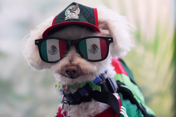 Mexico WCup Soccer Reaction