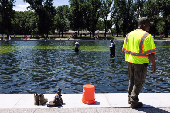 Image: National Park Service workers and contractors use vacuums to remove algae from the bottom of the Lincoln Memorial Reflecting Pool on June 20, 2026, in Washington, D.C.