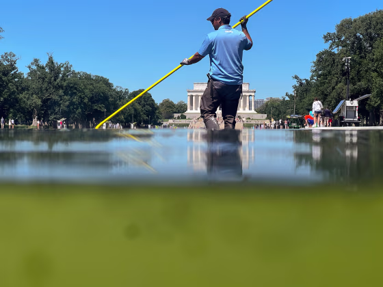 A U.S. National Park Service employee uses a vacuum pump to clean algae off the bottom of the newly repainted Lincoln Memorial Reflecting Pool on the National Mall