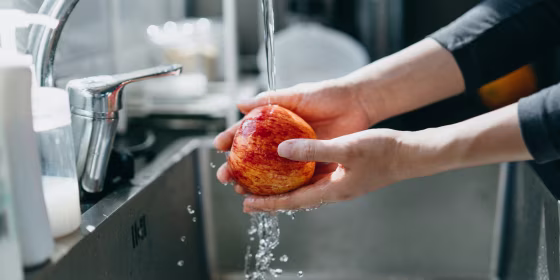 According to experts, the best way to prevent getting this illness is by thoroughly washing your produce.