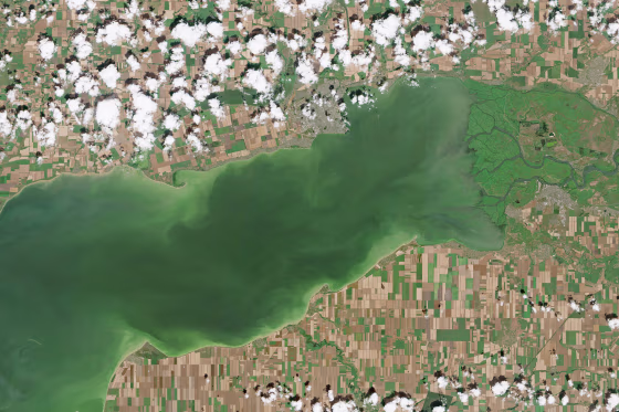 A satellite image of the Sea of Azov, July 13, 2026. 2026.