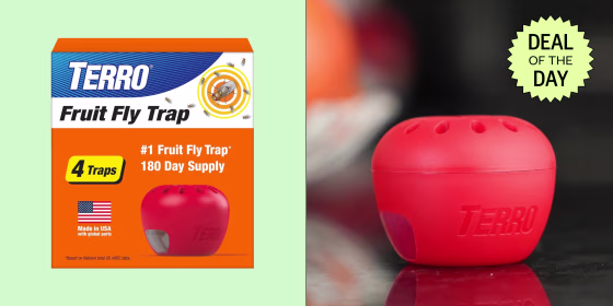 The Terro fruit fly trap uses a liquid bait to draw flies in and then traps them so they can’t escape.