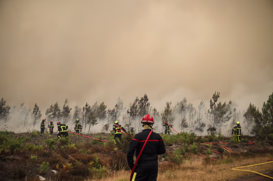 Firefighters standing in tall brush in front of a wall of smoke.