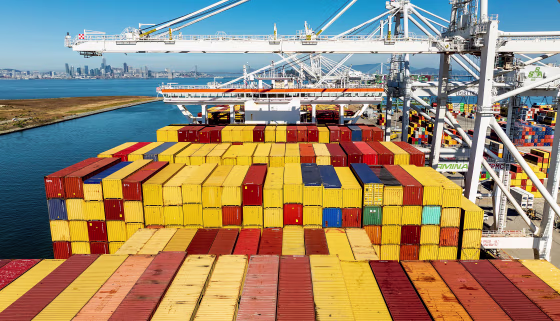 Tariffs Forced Labor